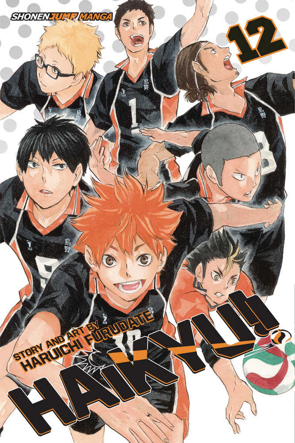 Haikyu Graphic Novel Volume 12